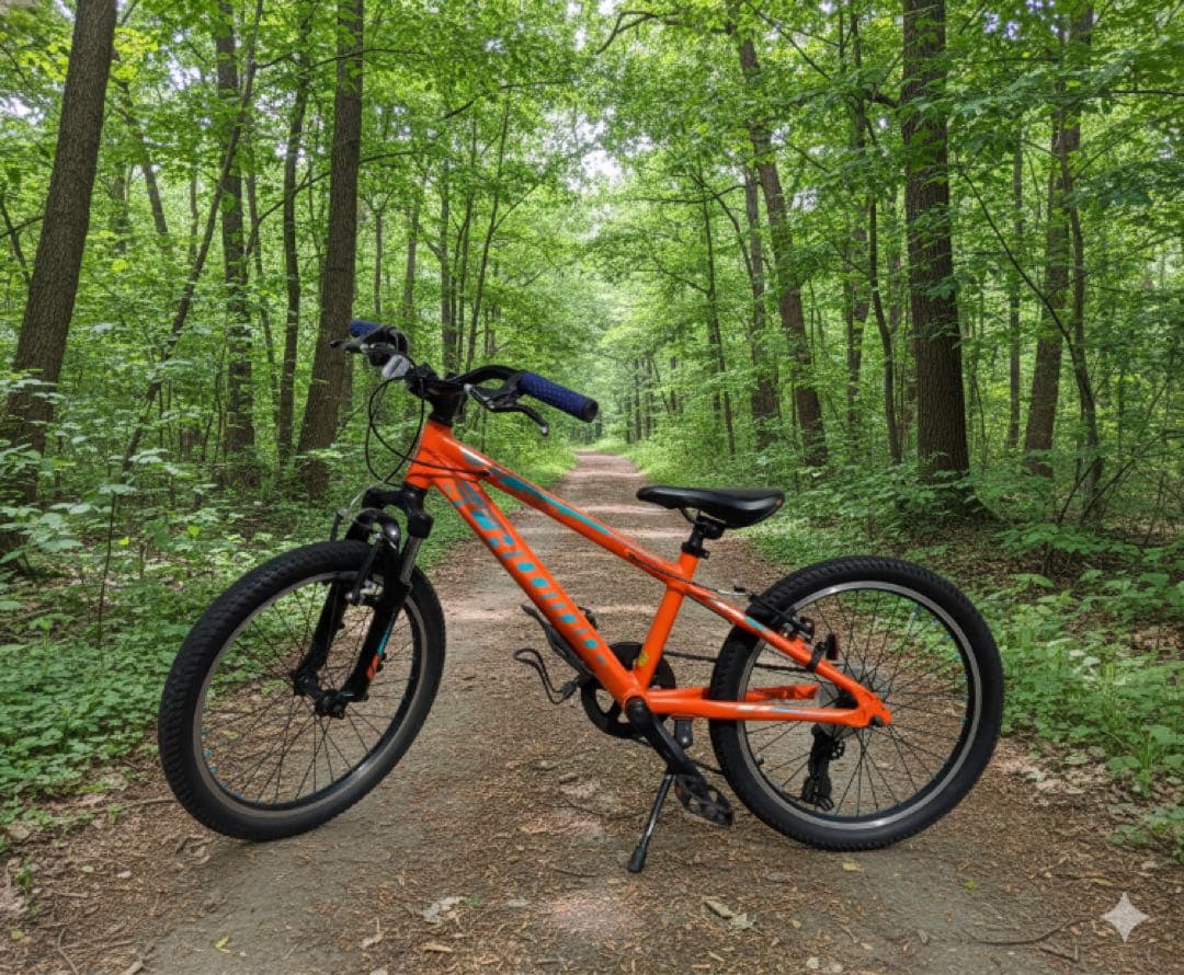 SCHWINN MTB 「MESA20」20インチ　引き取り限定