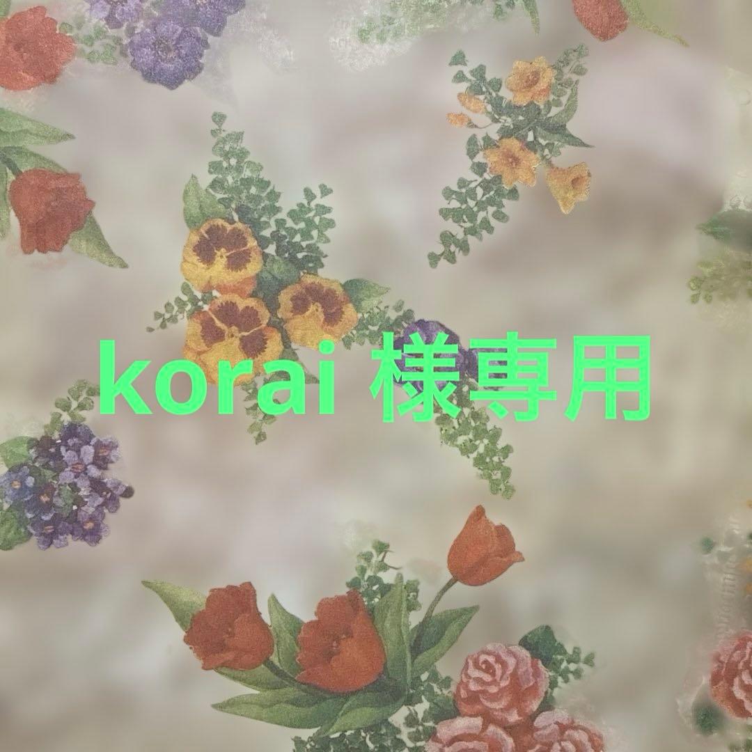 korai ロイヤルカナンクリティカルリキッド7本＋シリンジ2本