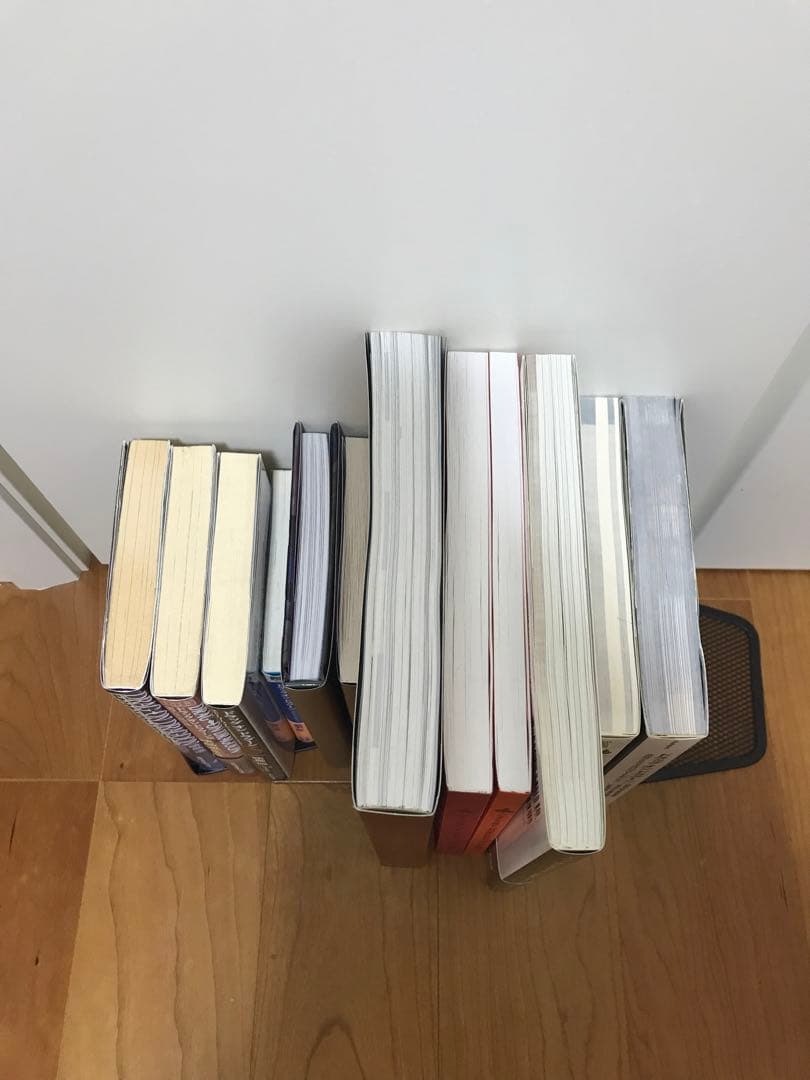 ドラッグオンドラグーン書籍セット