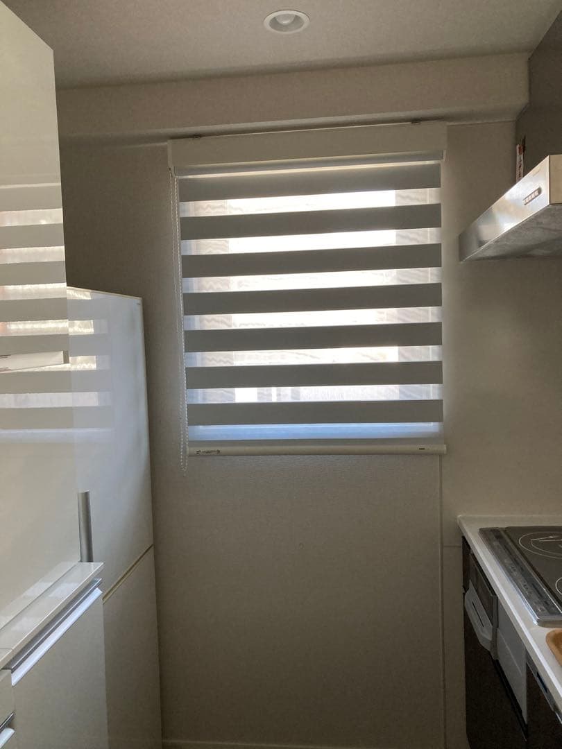 美品☆タチカワ 調光ロールスクリーン デュオレ 遮光生地