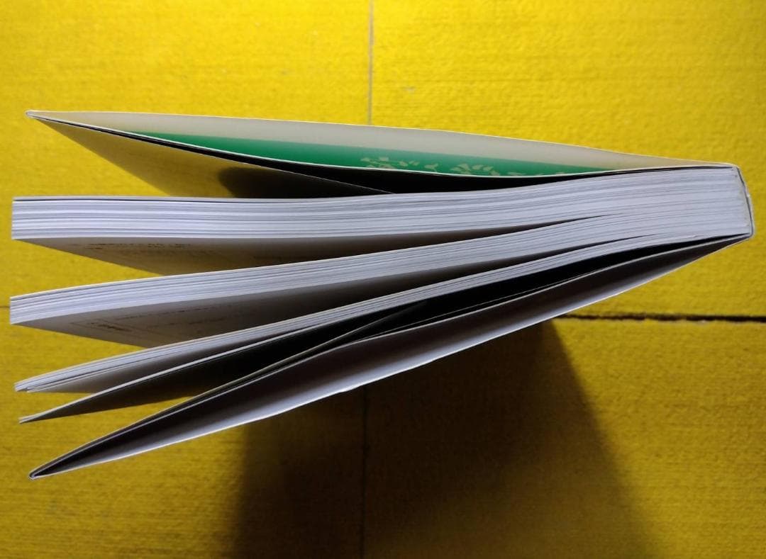 木造伝統工法　基本と実践　第二版　図解　棟梁に学ぶ